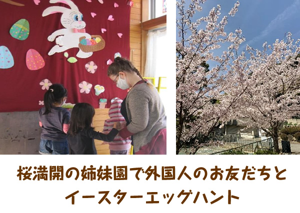 桜満開の姉妹園で外国人のお友だちとイースターエッグハント